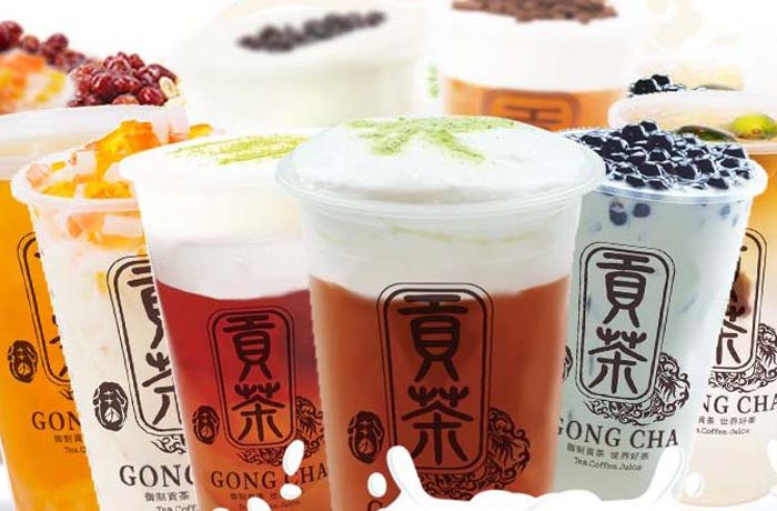 文县贡茶培训